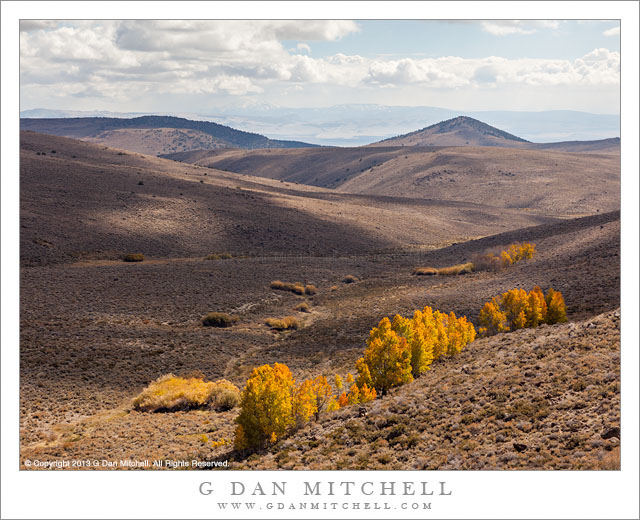 AspensSagebrushValleyNearBody20131013