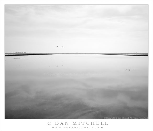 FloodedFieldSkyReflectionCentralValley20110123
