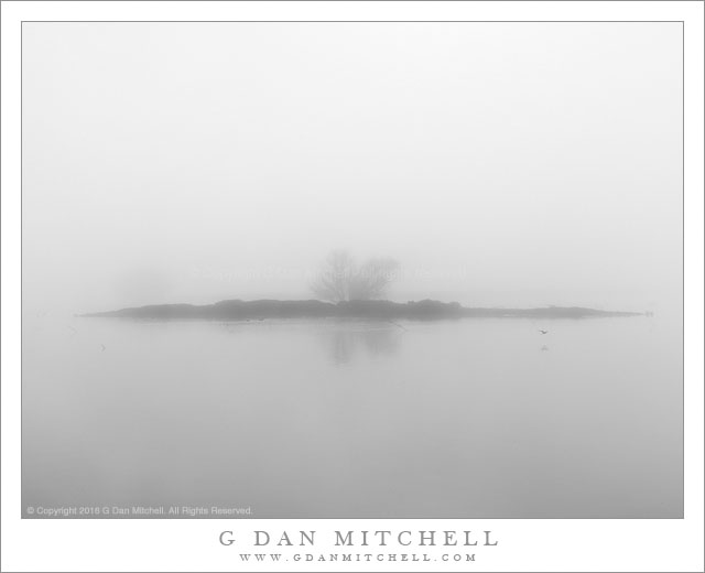 Island, Fog