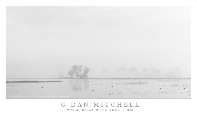 MarshlandFogBW MNWR20140214