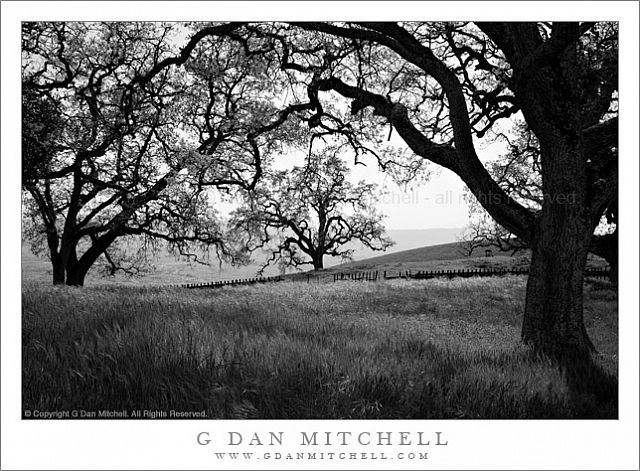 OakPastureDutchFlatBW20080420