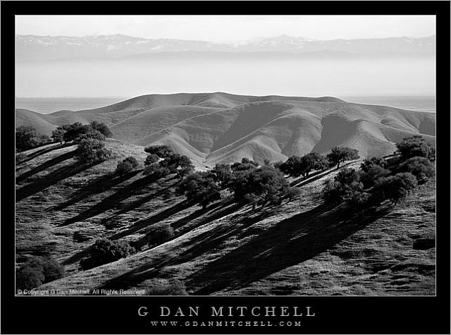 PachecoToSierraBW20080316