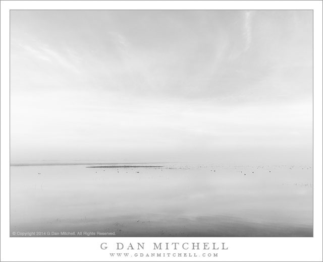 PondFogSky02BW20140214