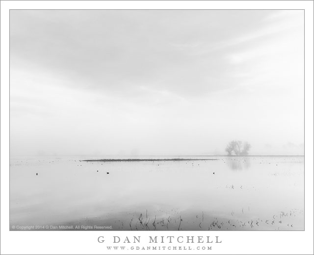 PondFogSky03BW20140214