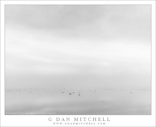 PondFogSkyBW20140214