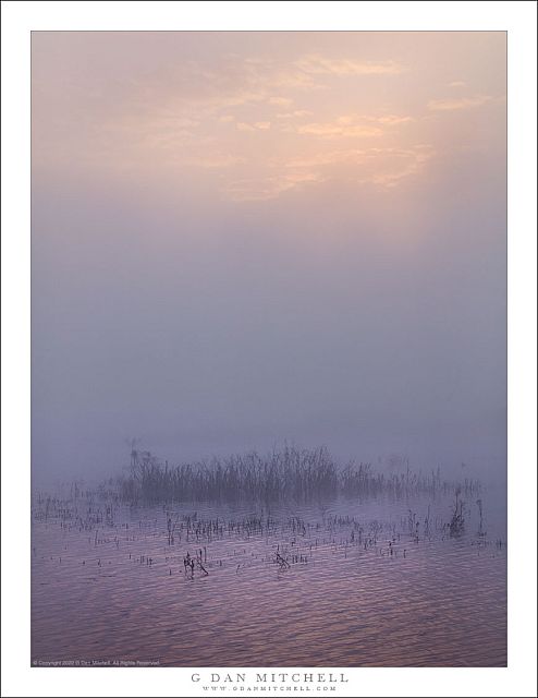 Pond, Clearing Fog