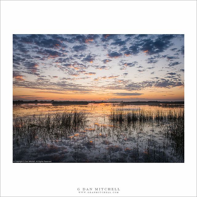 Autumn Sunrise, Wetlands