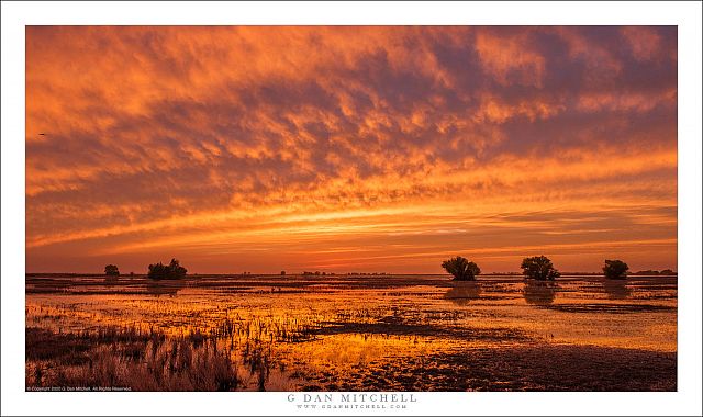 Autumn Sunset, Wetlands