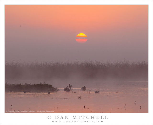 BirdsSunriseFogMNWR20131124