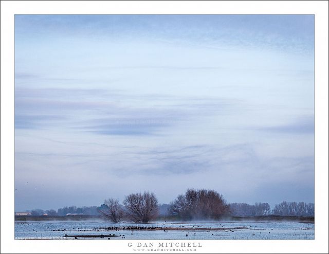 Central Valley Winter Sky