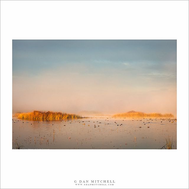 Islands, Clearing Fog