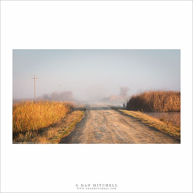 Levee Road, Clearing Fog