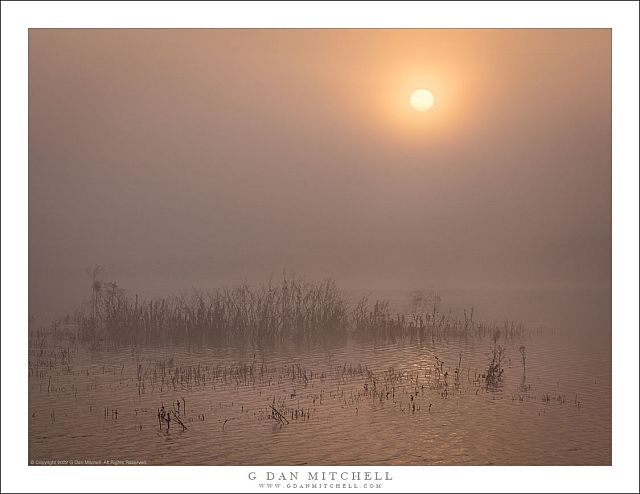 Pond, Fog, and Sun