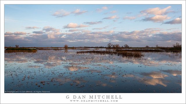 Wetlands And Sky