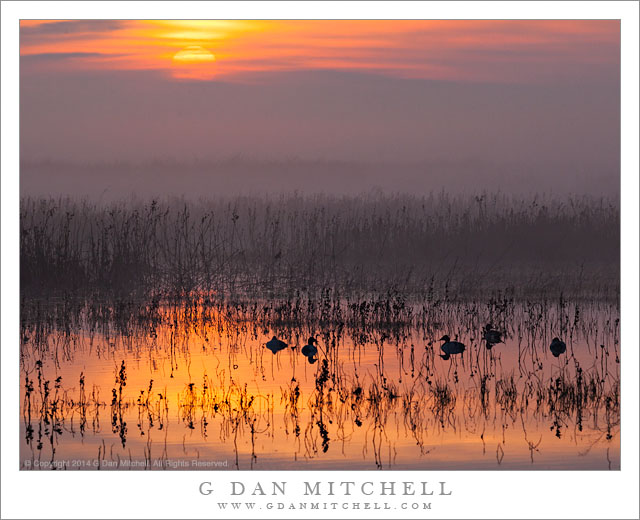 WetlandSunriseFogMNWR20140214
