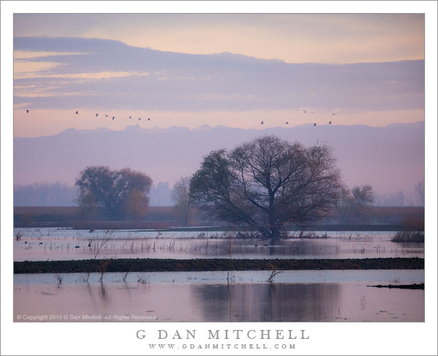 Wetlands Dawn, Sierra Crest
