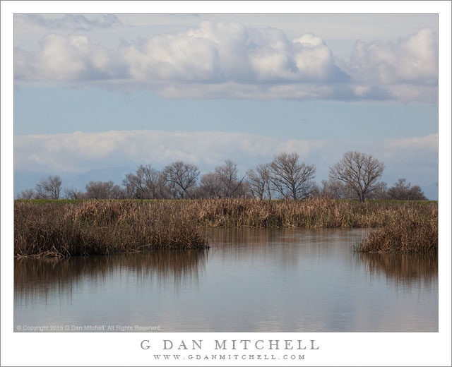 The Wetlands, Lake Winter