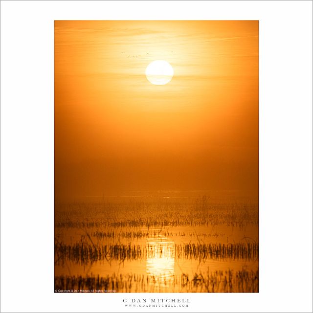 Wetlands Sunrise