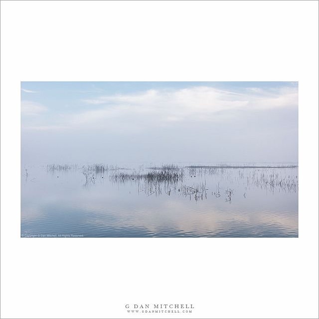 Wetlands, Winter Clouds and Fog