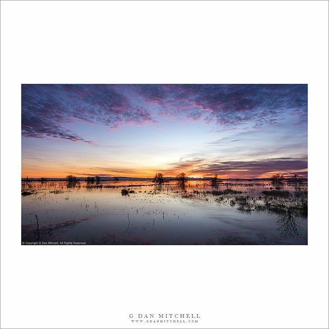 Wetlands, Winter Sunset