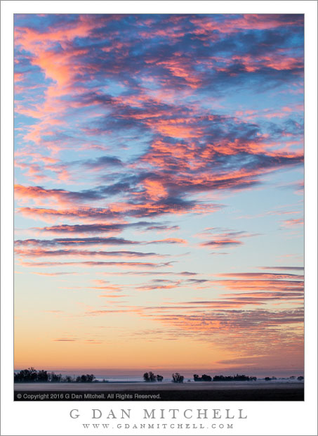 Winter Dawn, Sacramento Valley