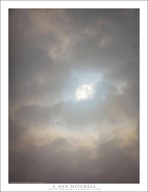 Winter Sky, Birds, Sun