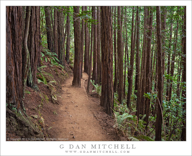 OceanViewTrail20140711