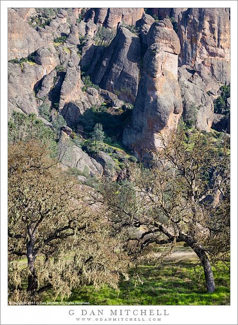 Pinnacles and Oak Trees