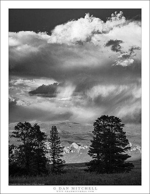 Storm Clouds, Trees in Silhouette