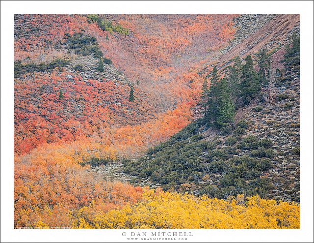 Aspen Cascade