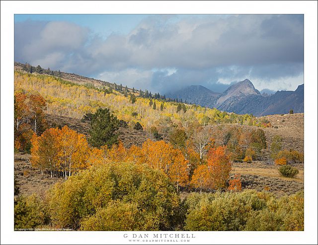 Aspen Groves, Peaks, and Clouds