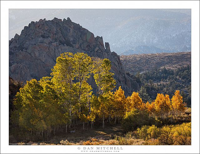 Aspens and Dome, Eastern Sierra