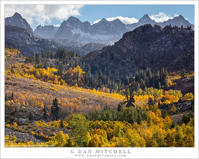 Autumn Color, Sierra Nevada Crest