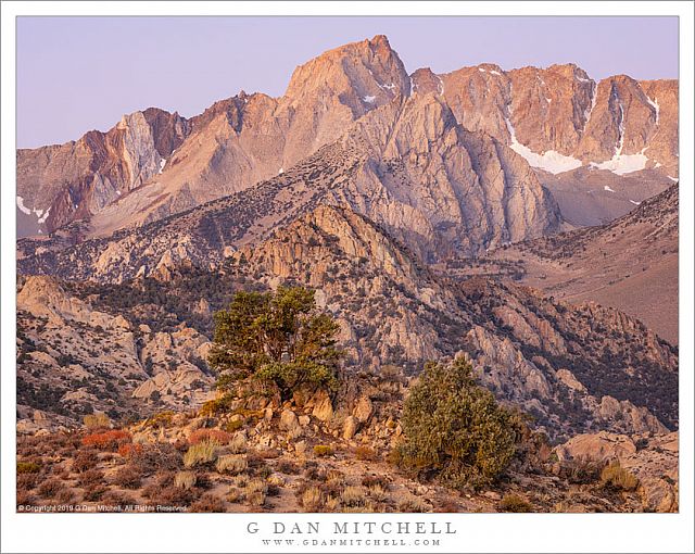 Autumn Dawn, Eastern Sierra