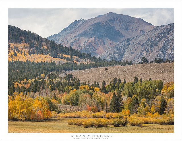 Autumn Meadow, Forest, and Peak