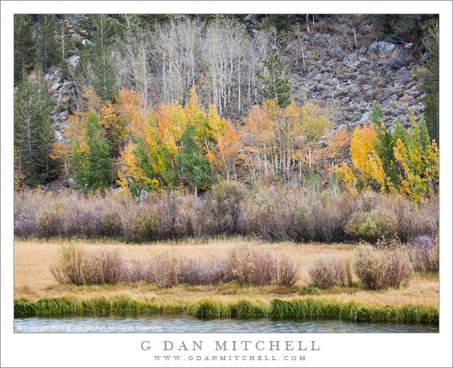 Autumn Shoreline