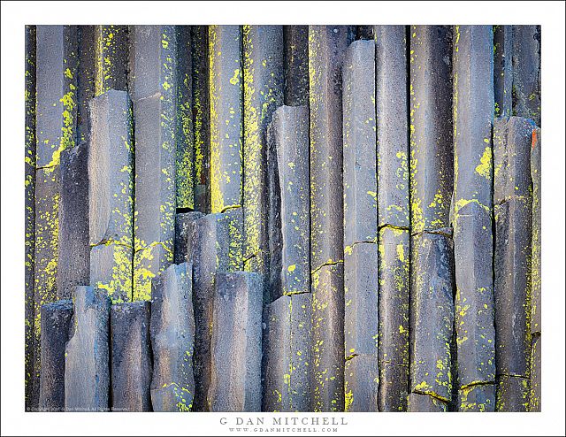 Basalt Columns and Lichen