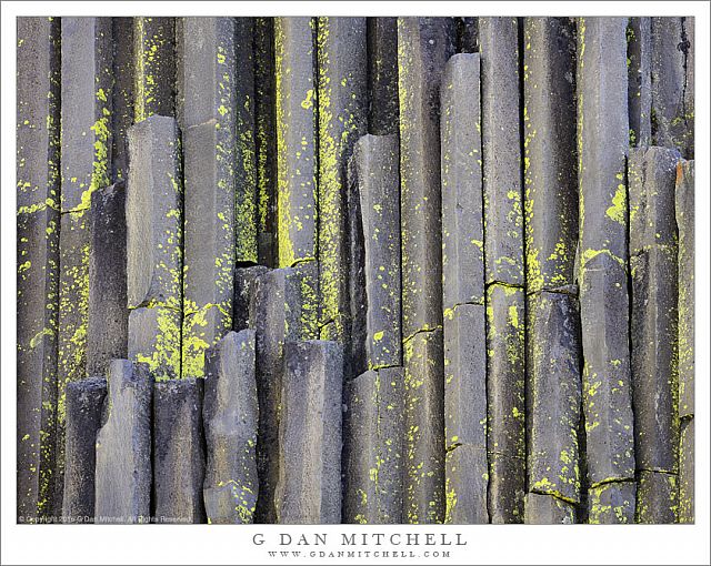 Basalt Columns And Lichen