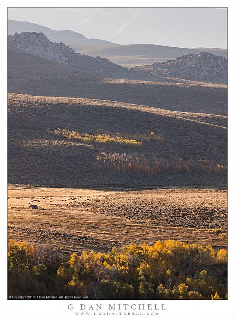 Autumn Evening, Eastern Sierra