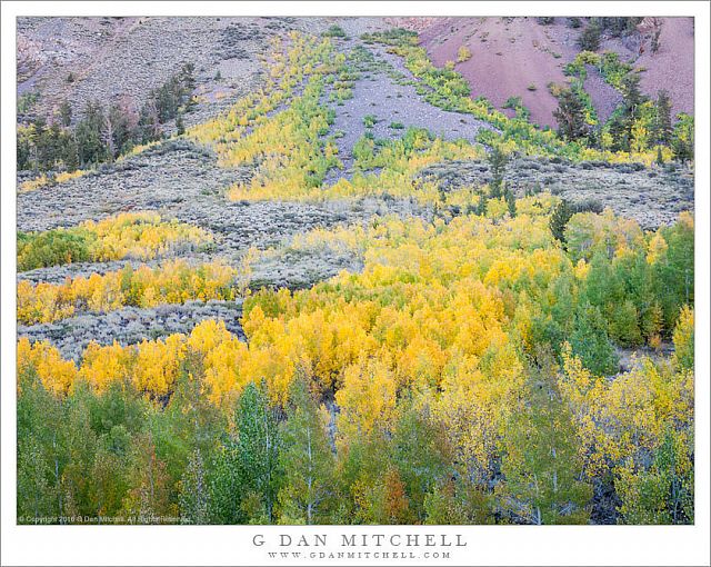 Early Fall Color