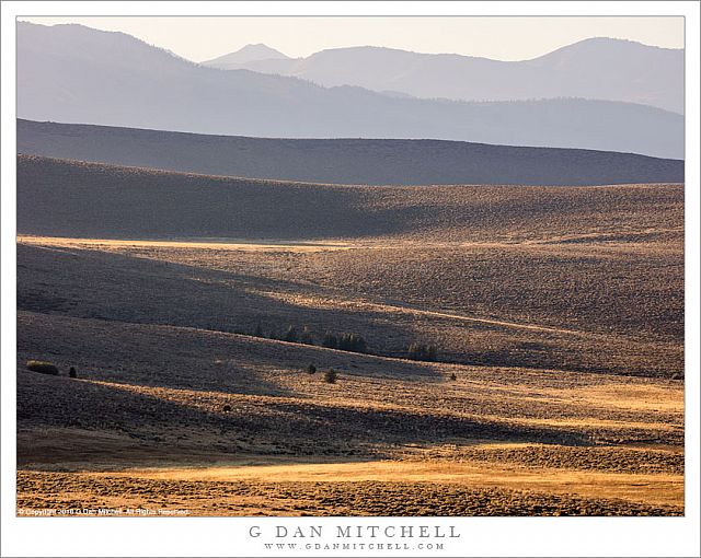 Eastern Sierra Ridges