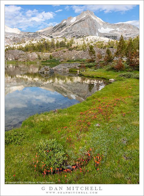 Wildflowers, Lake, Peak