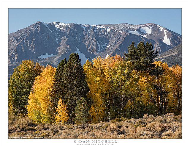 High Desert Autumn Color