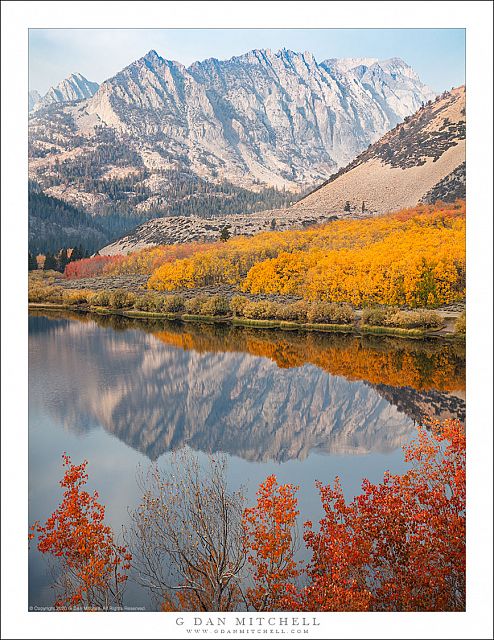 Autumn Aspens, Eastern Sierra Lake