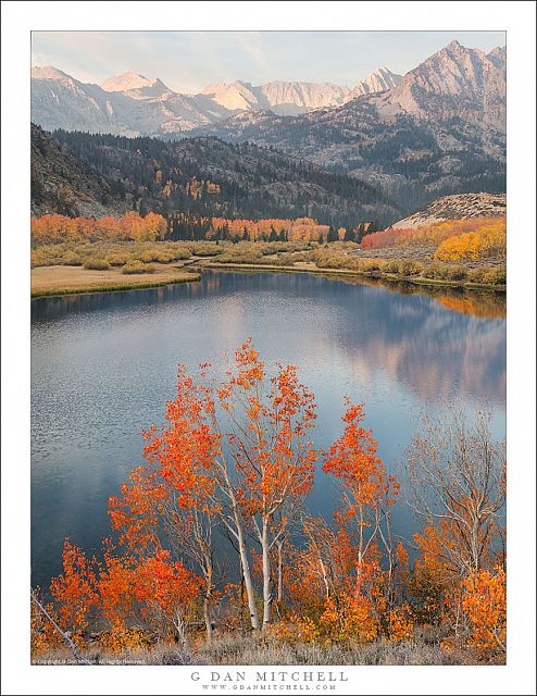 Autumn Aspens, Lake, Wildfire Smoke