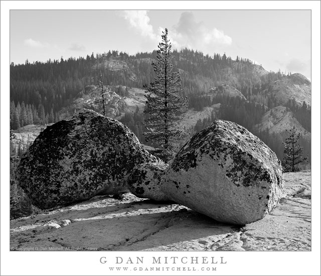 BouldersDomeTreesGlenAulinBW20110916