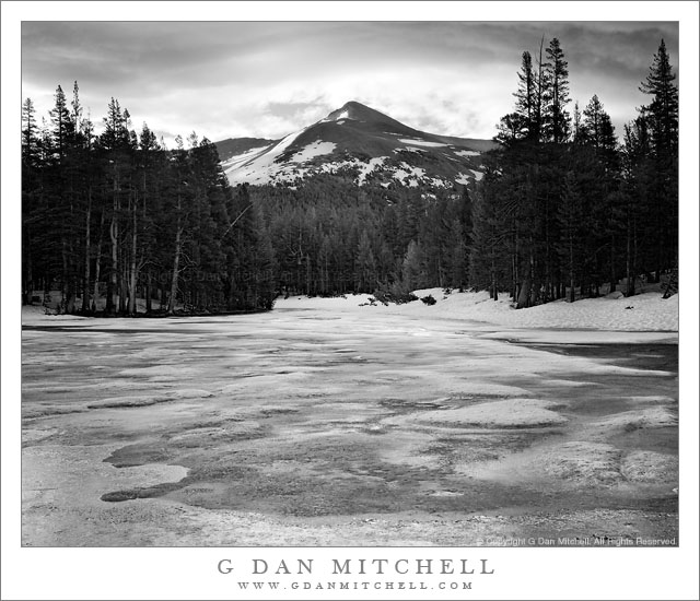 GibbMornFrozenPondBW20110619