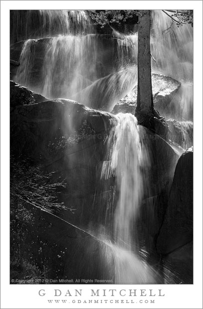 ImpossibleTreeFallVertBW20110618