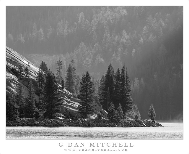 Shoreline, Trees, Morning
