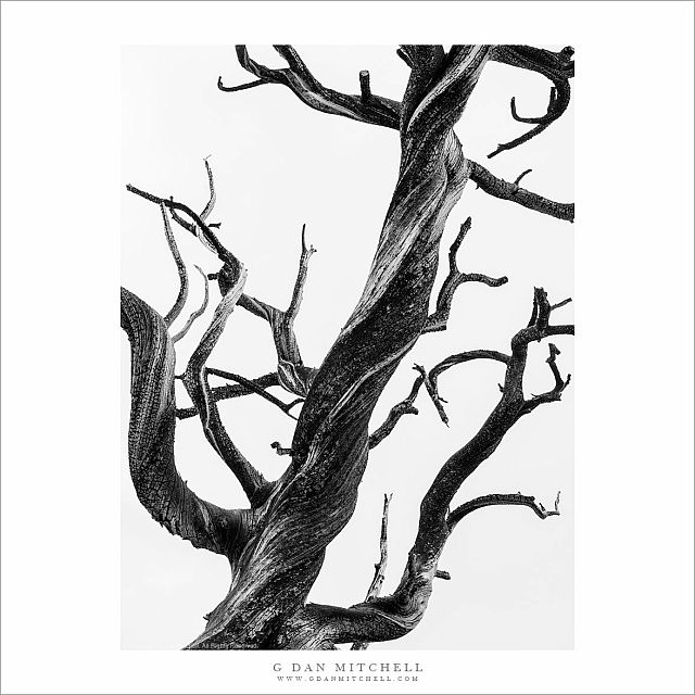 Snag, Sky